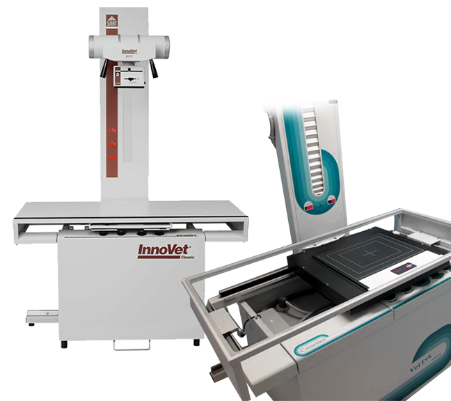 Innovet classic veterinary x-ray system with vertical stand and patient table for animal radiographs