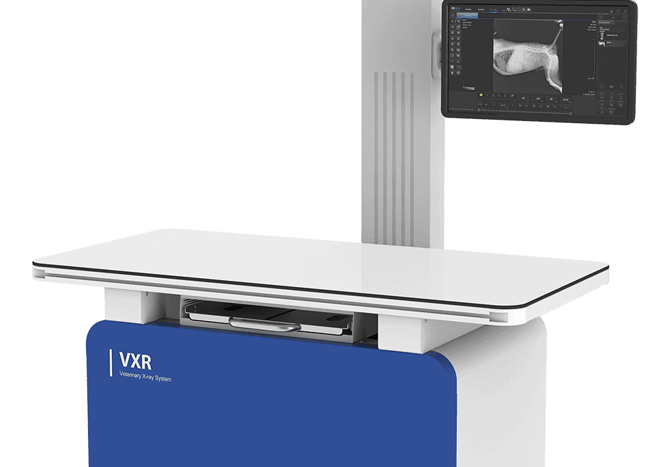 Different Equipment for Your Veterinarian Needs