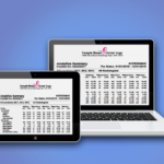 Tablet and laptop display an analytics/report document on blue gradient background, logo visible at top of page.